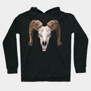 Isolated Ram Skull Hoodie